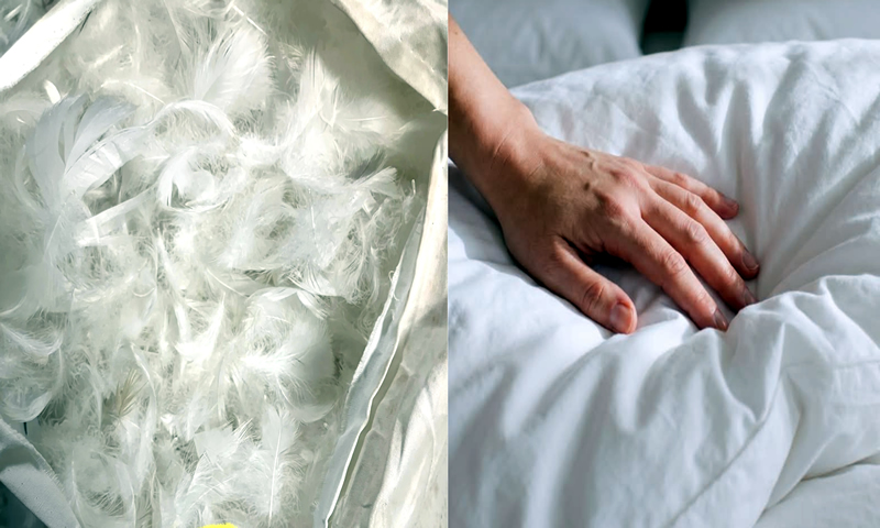 HR Foam and blended fiber filling materials for slipcover sofa comfort — Feather down and synthetic down solutions